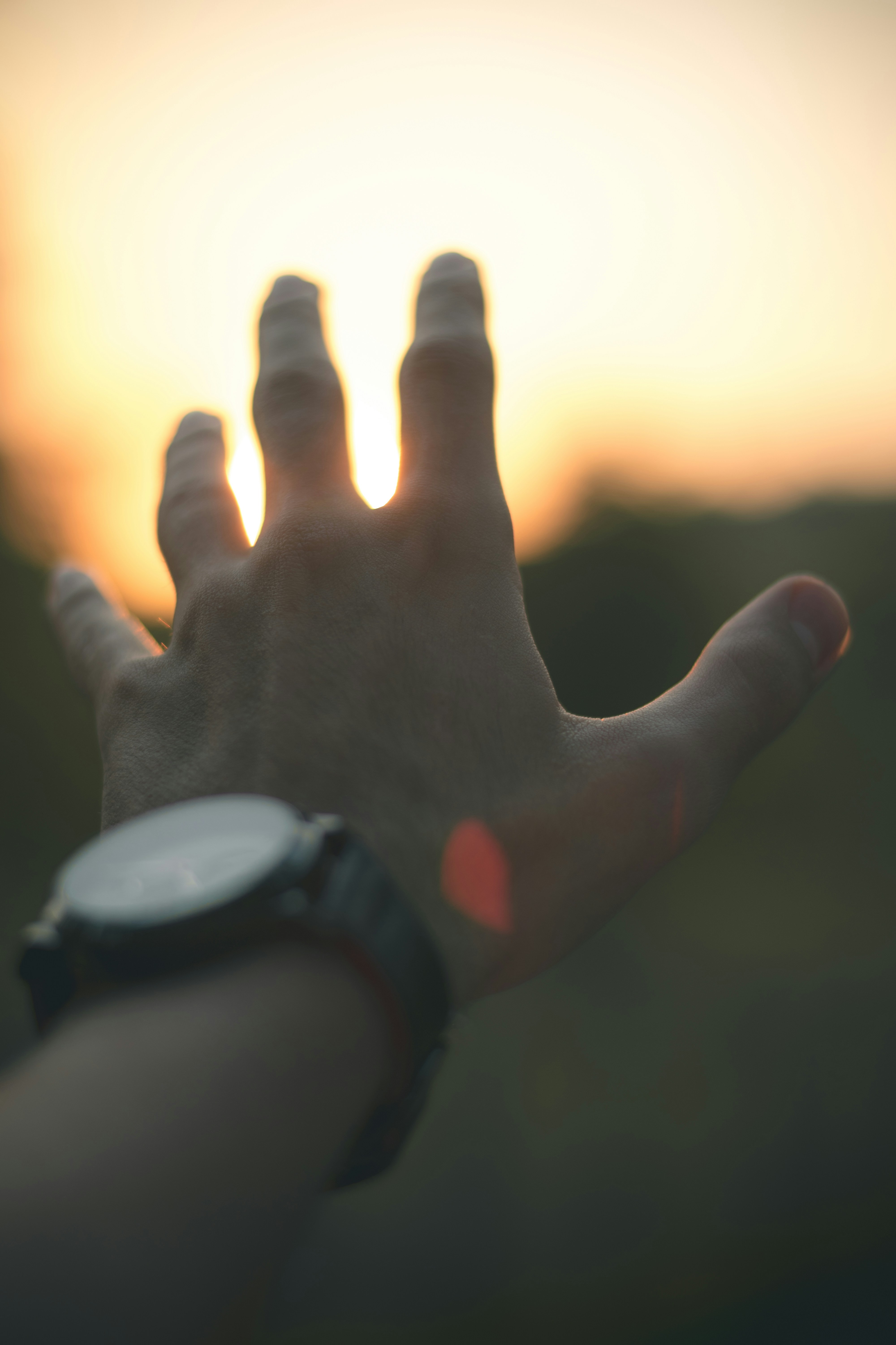 Empowering the Association CEO